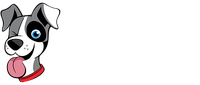 The Puppy Palace | Connecticut